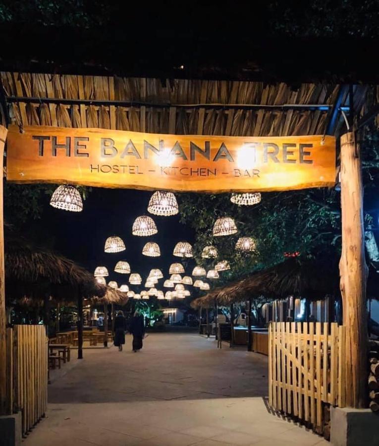 The Banana Tree Hostel Нин Бин Екстериор снимка